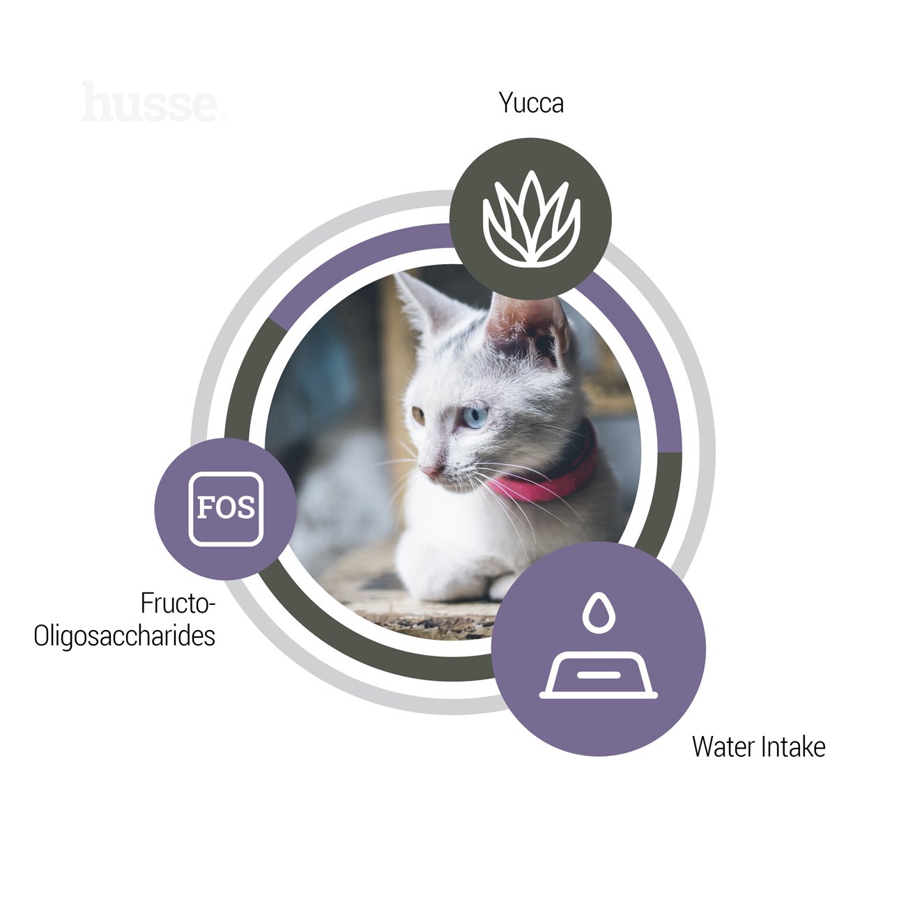 Exclusive Urinary - karma sucha dla kotów 2 kg