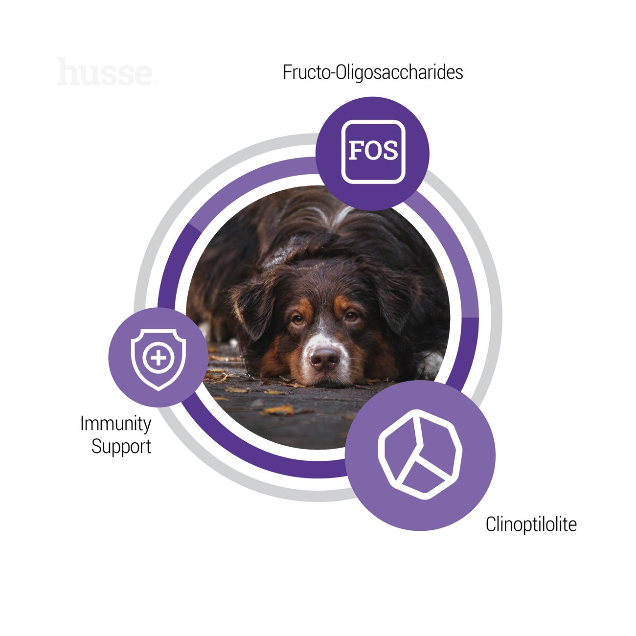 Senior - karma sucha dla psów starszych 12 kg