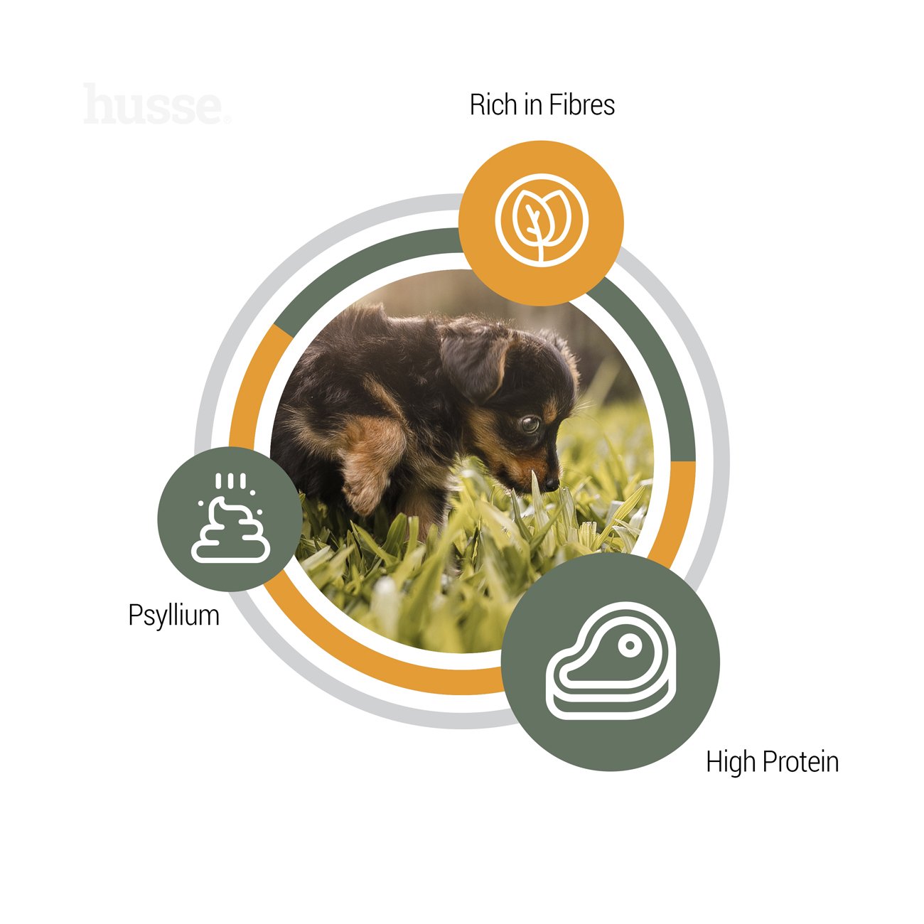 Valp Plus - karma sucha bez glutenu dla szczeniąt 7kg