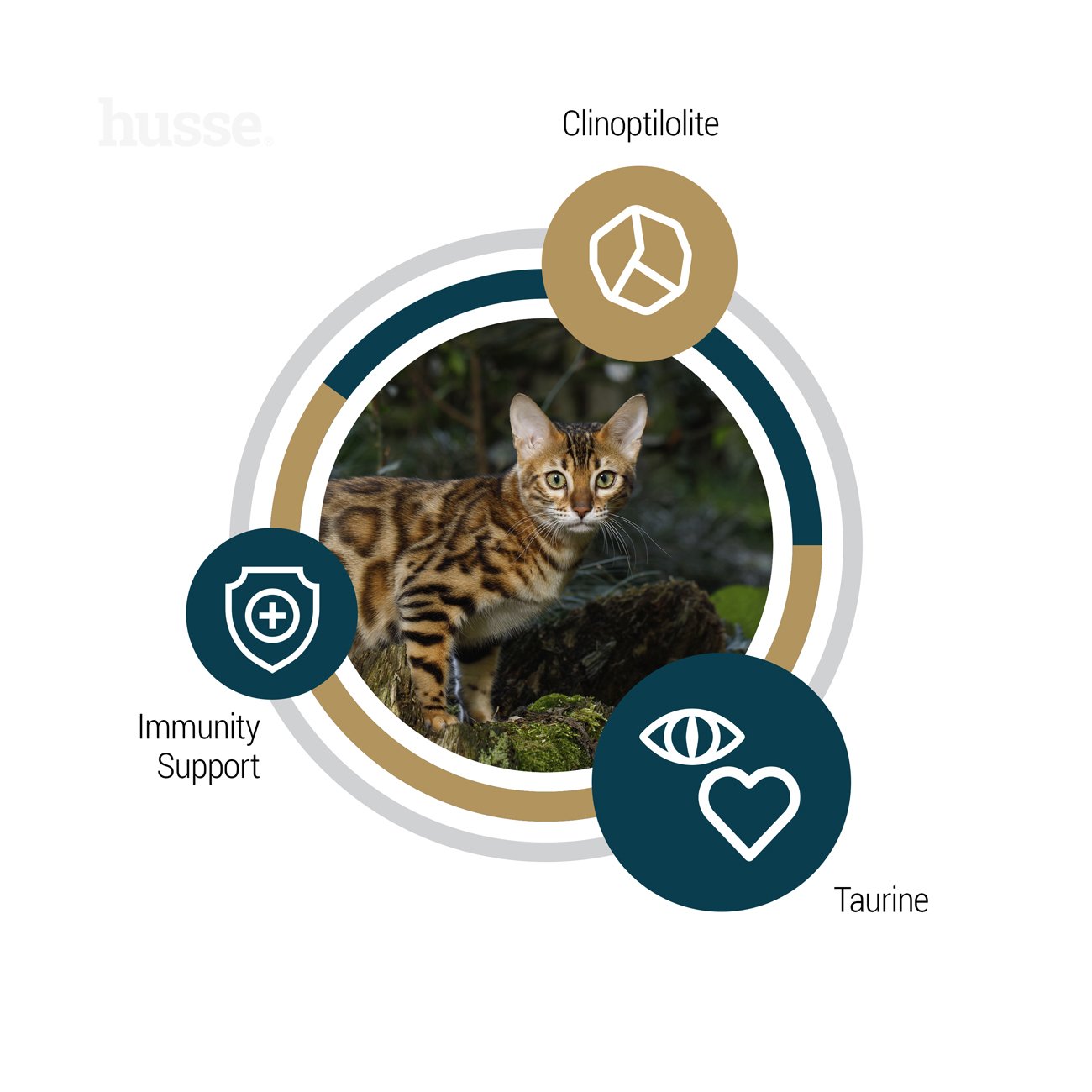 Lynx Senior - karma sucha bezzbożowa dla kotów starszych 7kg