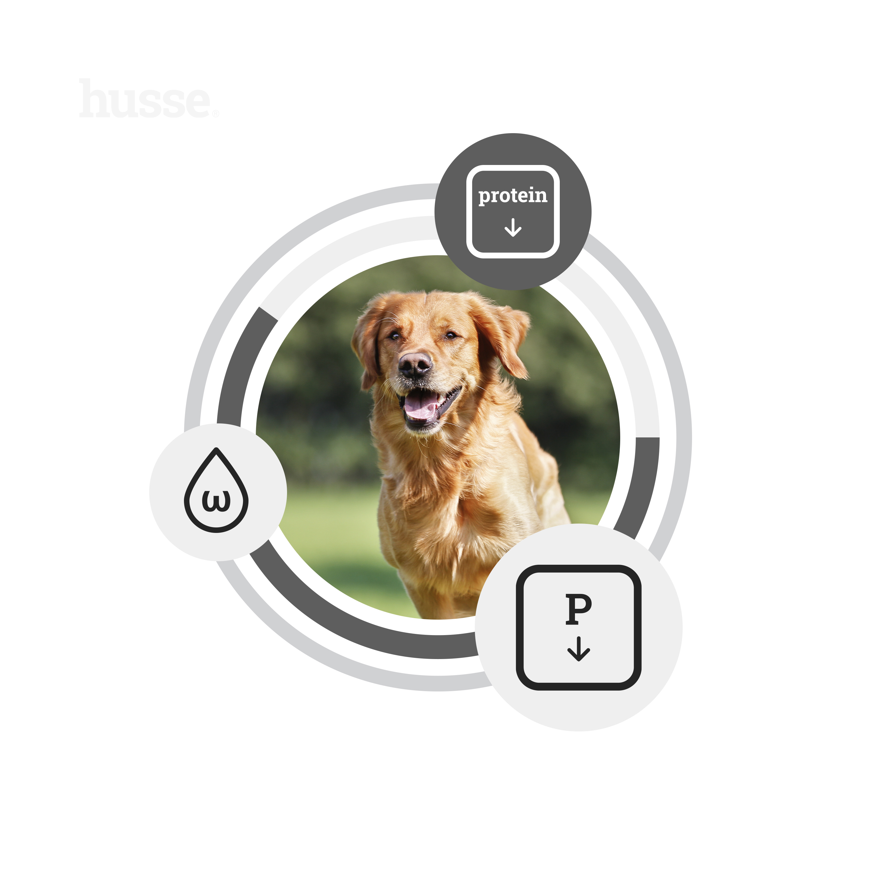 Diet Kidney, Heart & Liver, 7 kg | Weterynaryjna formuła wspomagająca nerki, serce i wątrobę