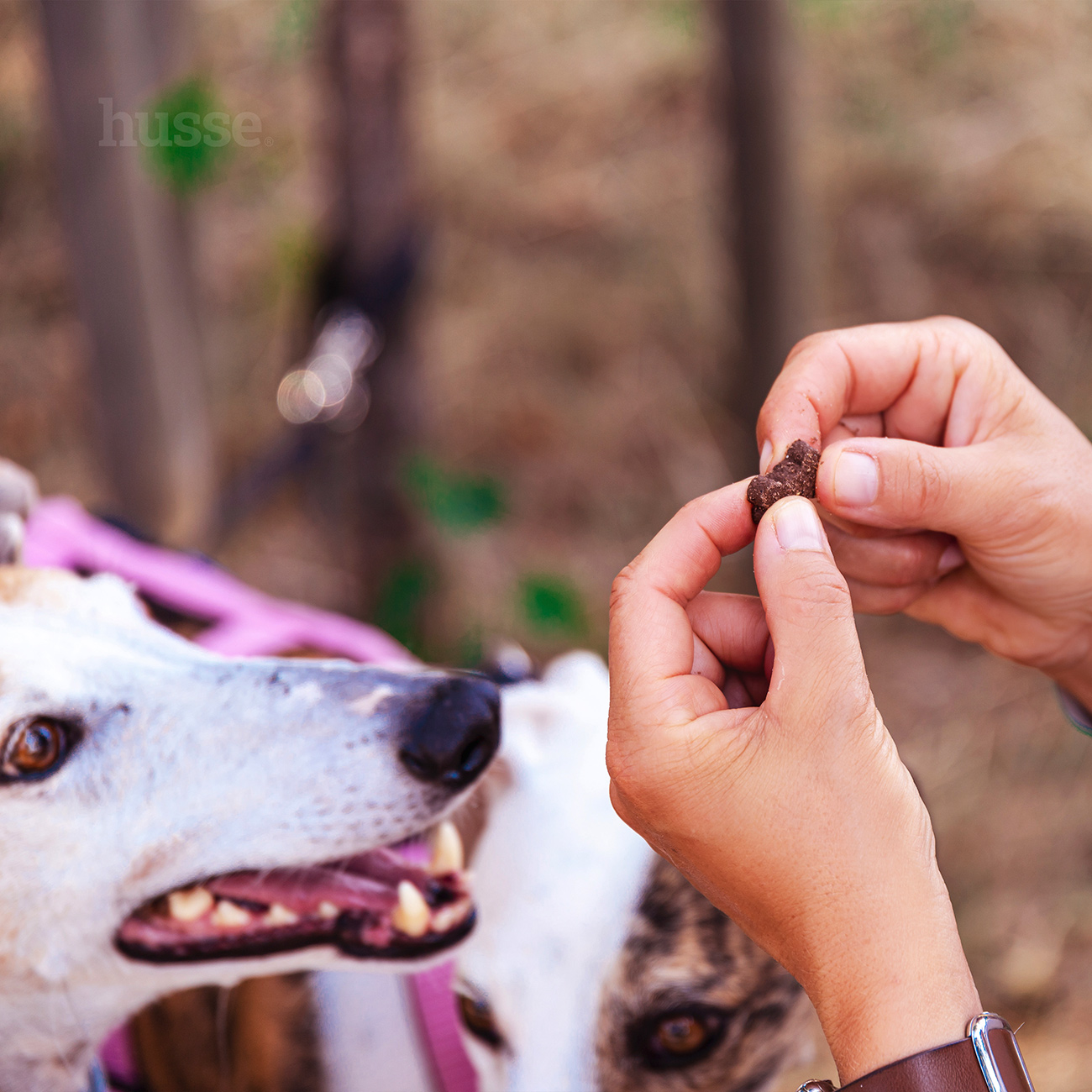 Bravo - przysmaki bezglutenowe dla psa, miękkie 150 g.