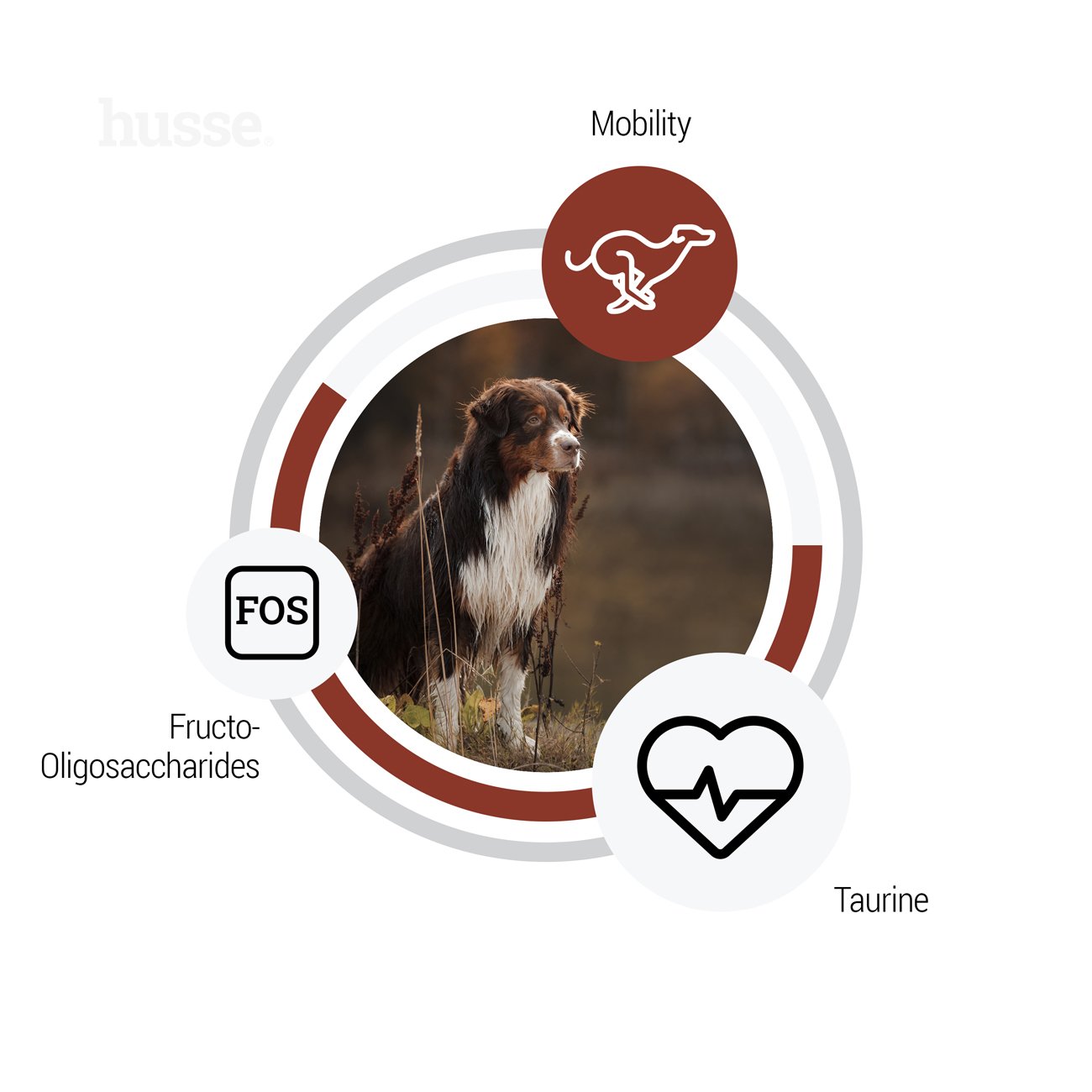 Digest Giant - karma sucha, psy duże z alergiami 12.5 kg