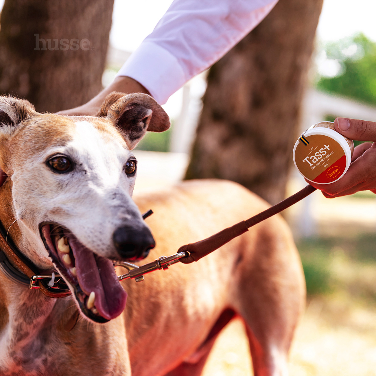 Tass Plus - balsam pielęgnacyjny do łap 40 ml