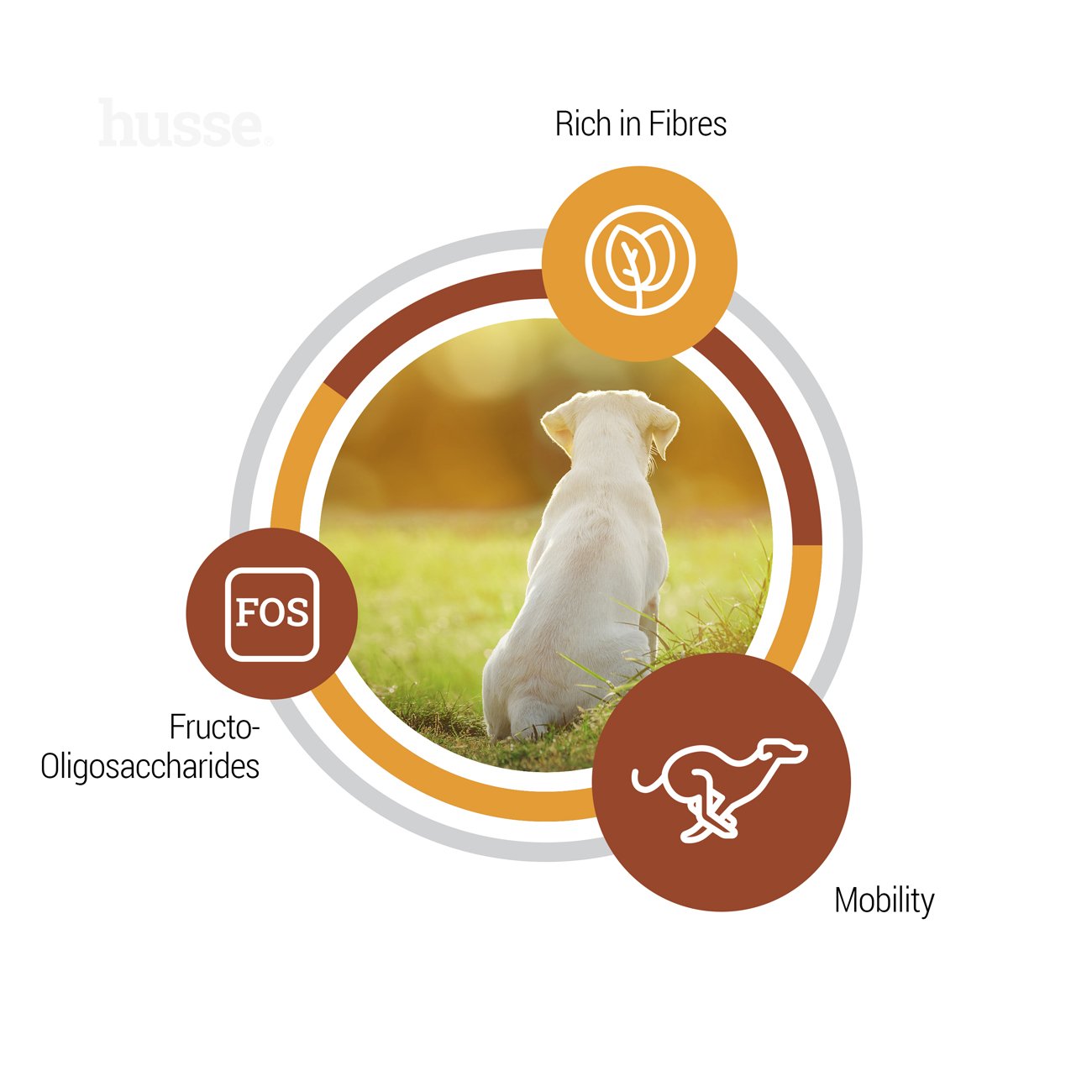 Valp Maxi 12 kg - karma sucha dla szczeniąt ras dużych