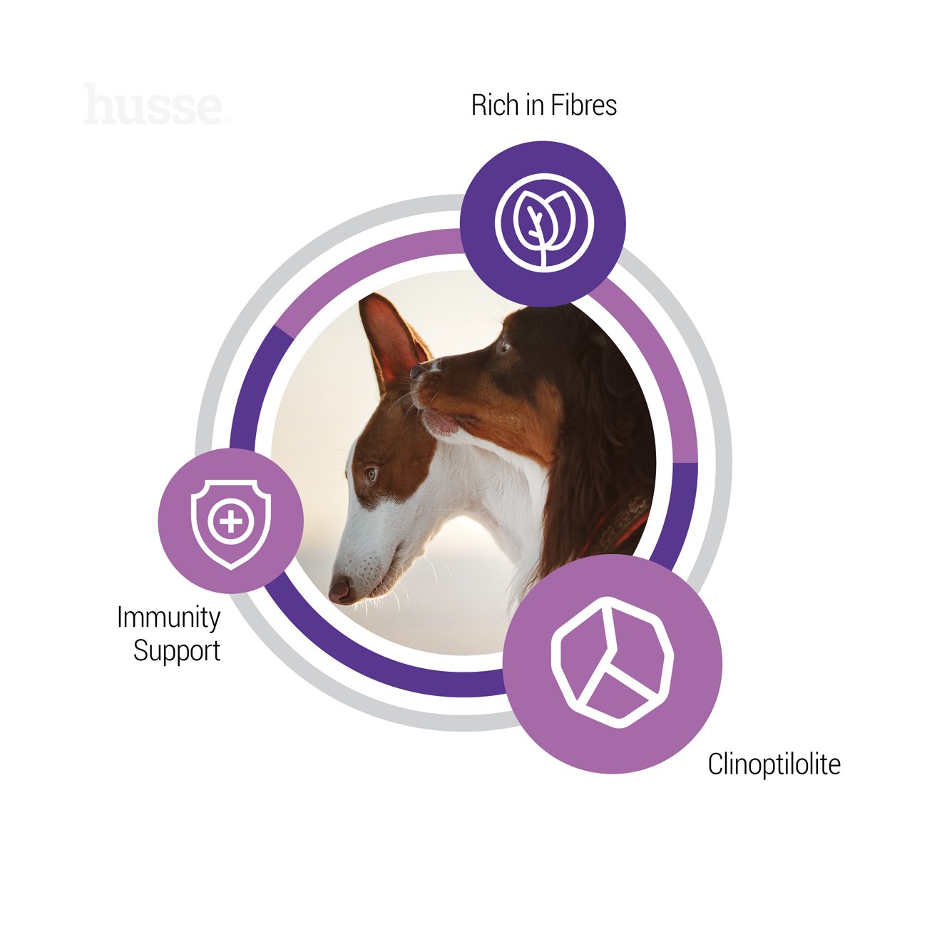 Sterilised - karma sucha dla psów sterylizowanych 12 kg