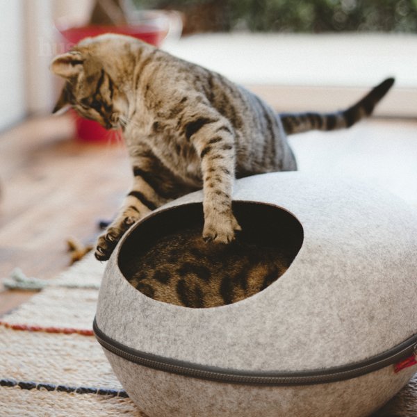 Legowisko filcowe dla kota