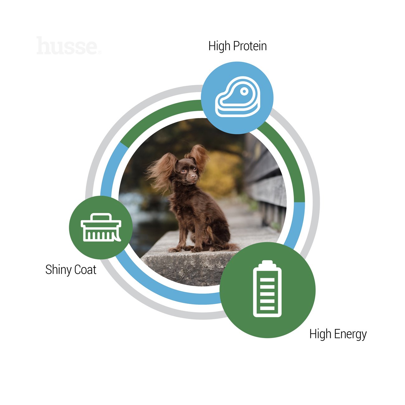 Optimal Mini - karma sucha dla psów małych aktywnych 7 kg