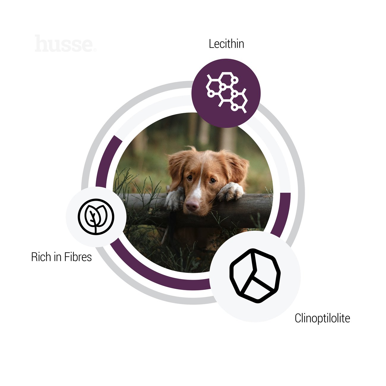 Sensitive Light - karma sucha dla psów wrażliwych i otyłych 12.5 kg