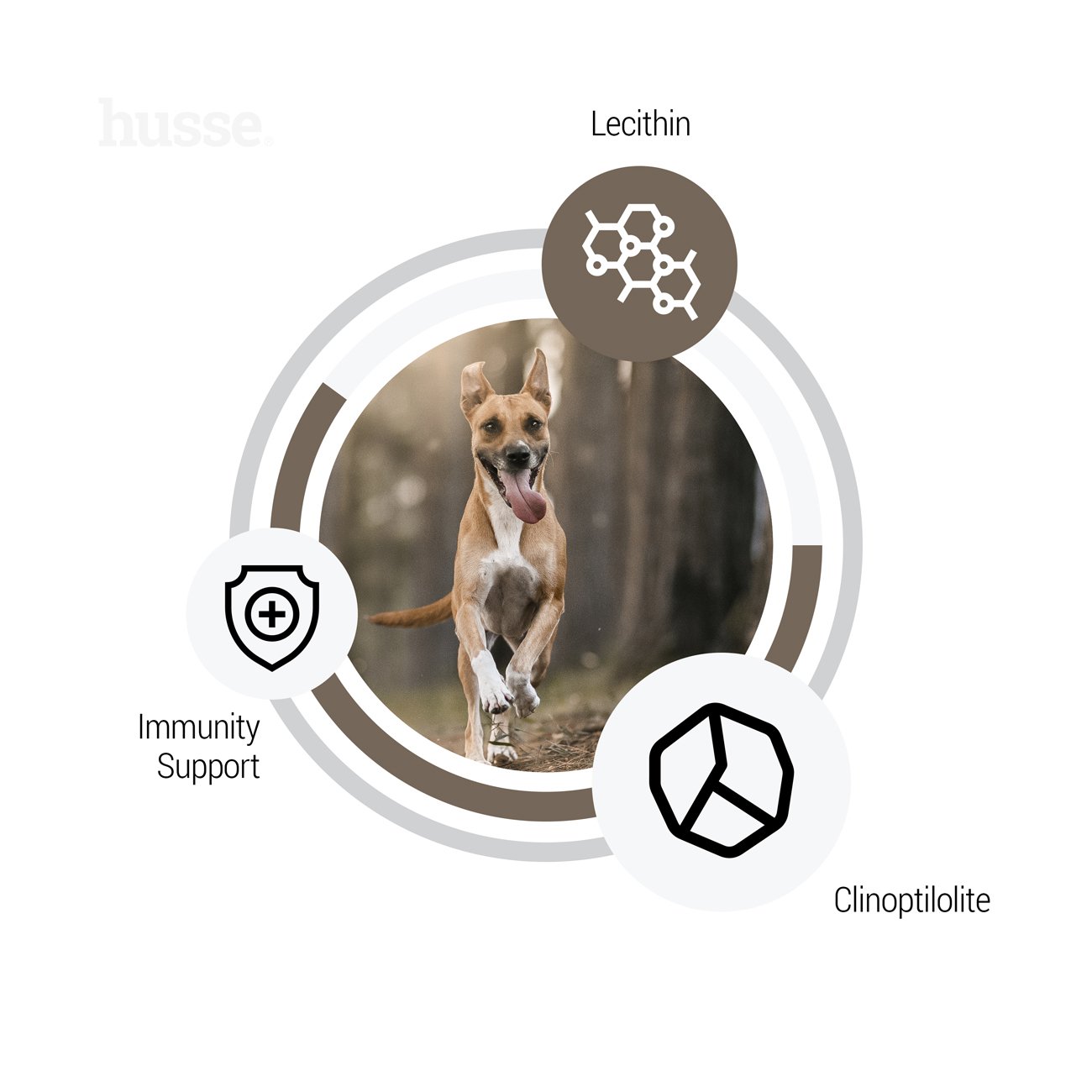 Digest - karma sucha hipoalergiczna dla psów 2kg