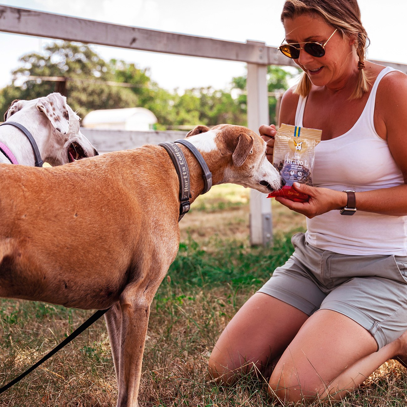 Bravo L - przysmaki bezglutenowe dla psa miękkie 150 g