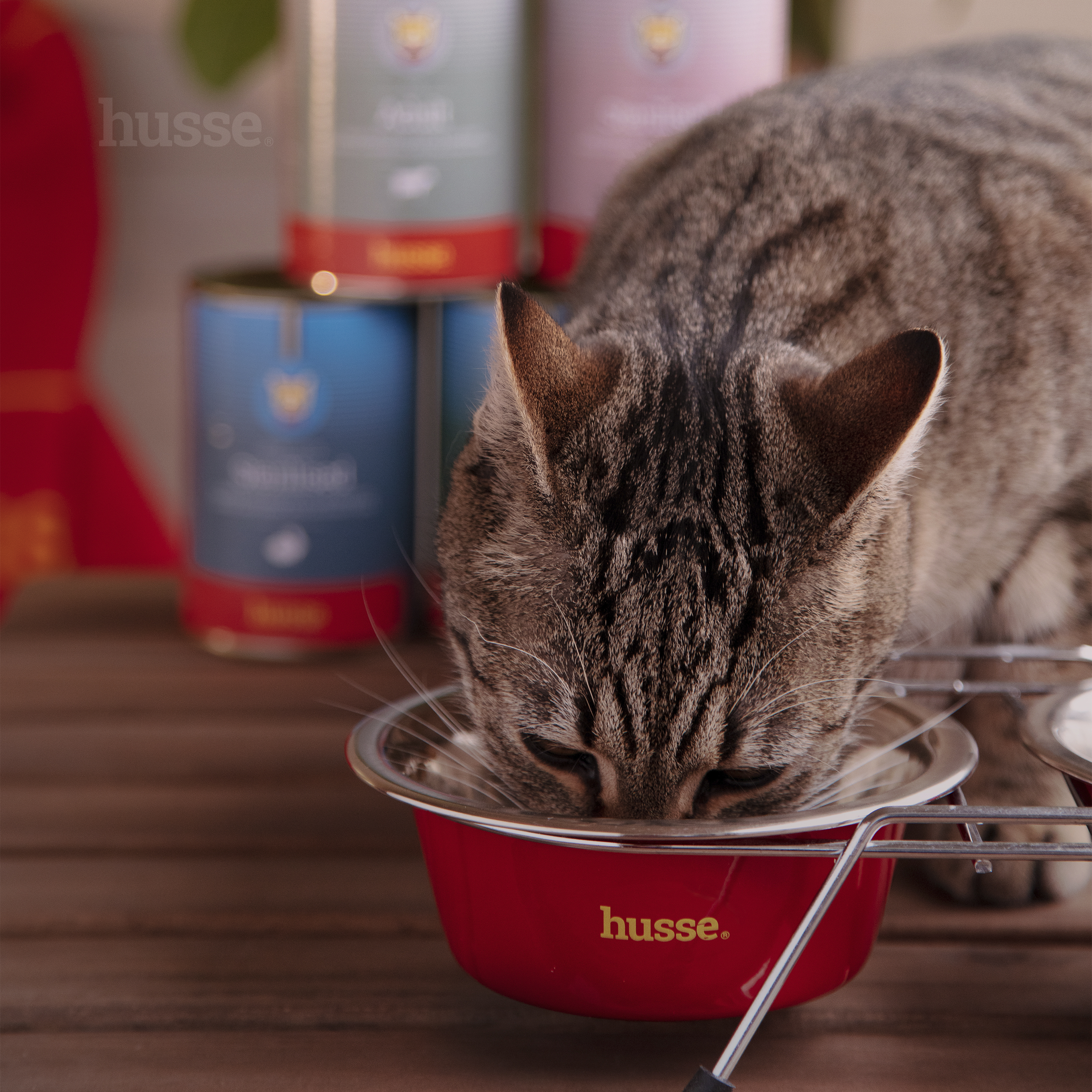 Adult - mięsne kawałki z wołowiną dla kota 415g x12