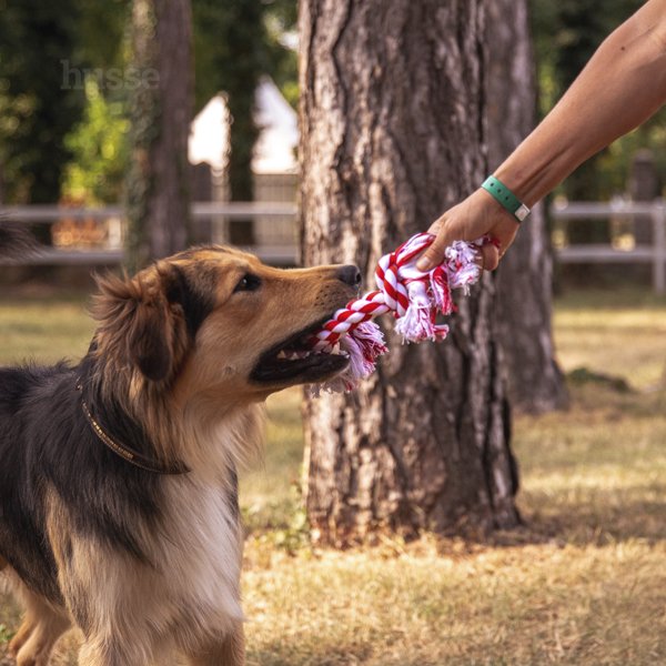 Sznurek - zabawka z supłami na końcach