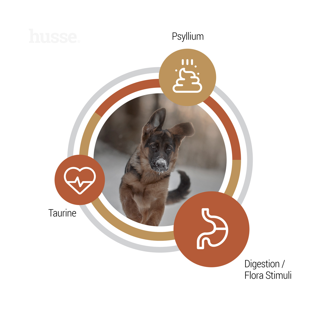 Valp Farm - bezzbożowa karma dla szczeniąt 12kg