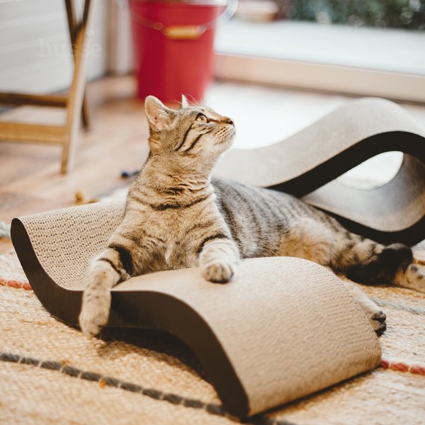 Krusa - drapak dla kota w kształcie fali