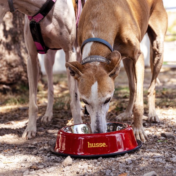 Miska metalowa dla psa z podstawą antypoślizgową, duża