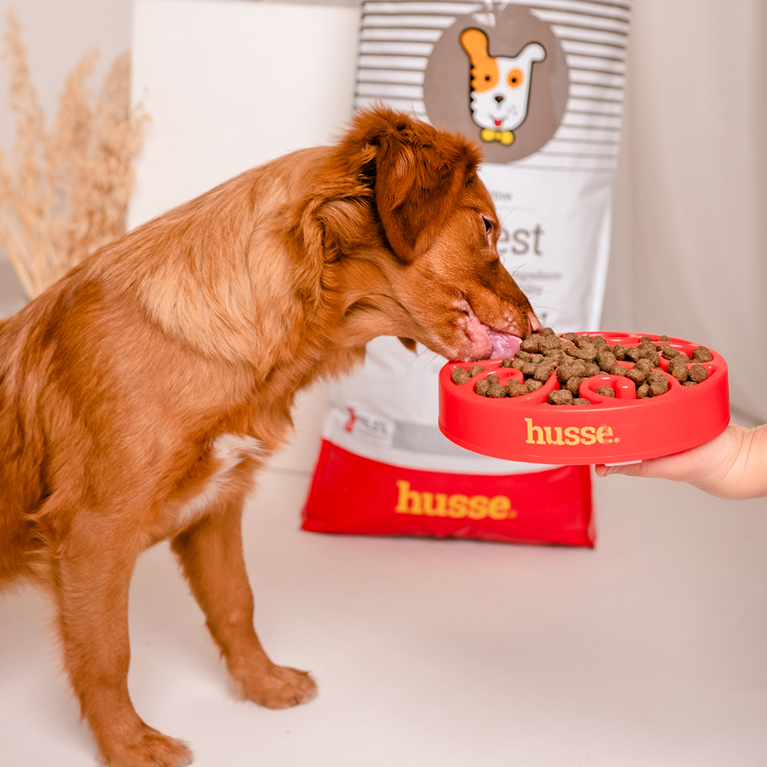 Digest - karma sucha hipoalergiczna dla psów 2kg