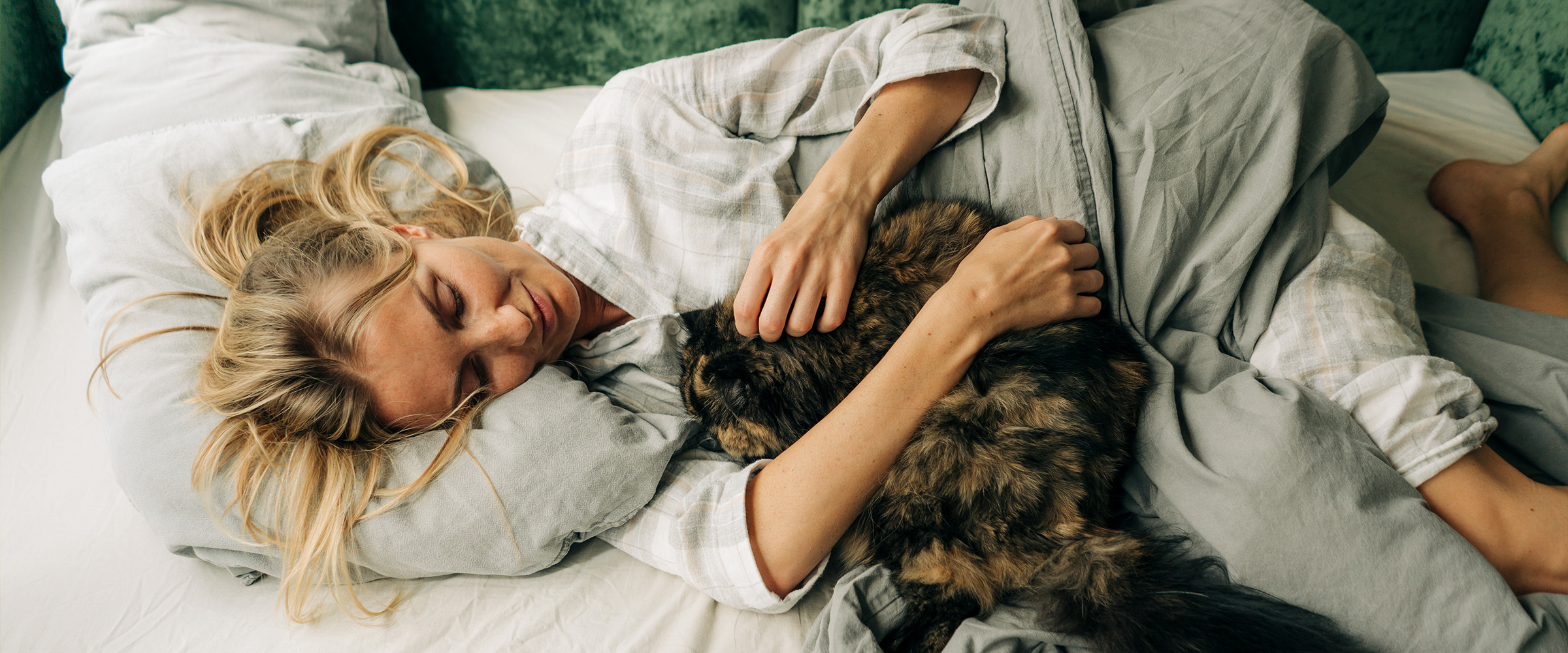 dreams about cats_1