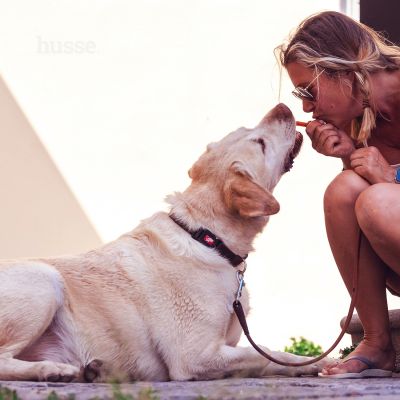 Kycklingfilé - przekąska z pieczonego kurczaka dla psów 100 g