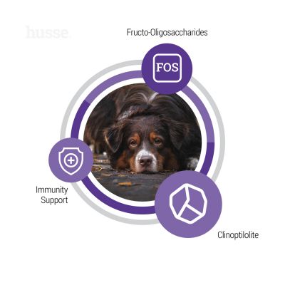 Senior - karma sucha dla psów starszych 12 kg