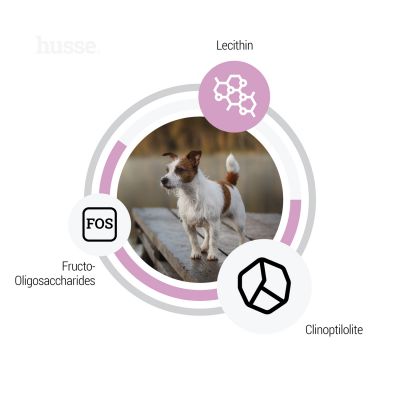 Ocean Care Mini - karma sucha psy małe z alergią 2kg