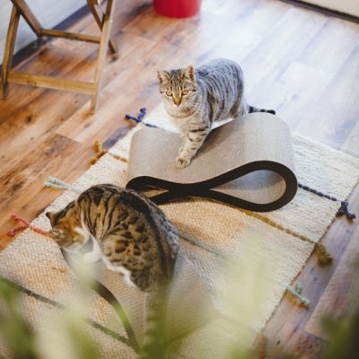 Krusa - drapak dla kota w kształcie fali