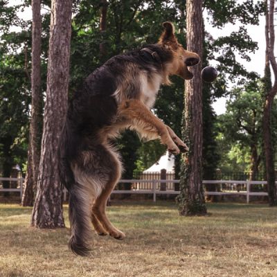 Piłka - zabawka dla psa z naturalnego kauczuku, rozmiar L