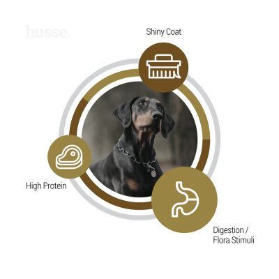 Lyster - bezglutenowa karma sucha Cold Pressed z łososiem 12 kg