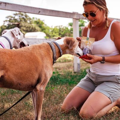 Bravo L - przysmaki bezglutenowe dla psa miękkie 150 g