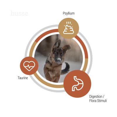 Valp Farm - bezzbożowa karma dla szczeniąt 12kg