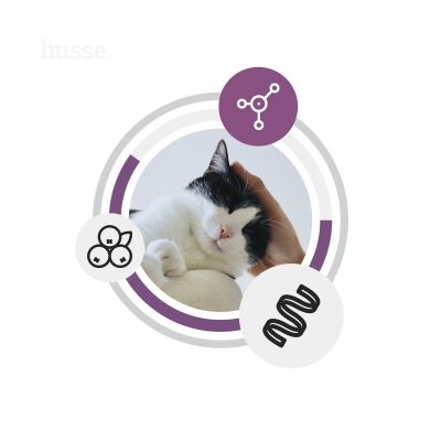 Fresh Sterilised, 7 kg | Bezzbożowa karma ze świeżym kurczakiem