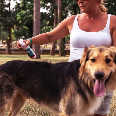 Spray ułatwiający rozczesywanie sierści psa i kota 200 ml