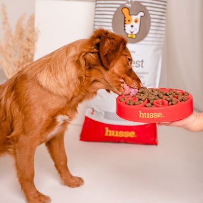 Digest - karma sucha hipoalergiczna dla psów 2kg