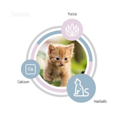 Exclusive Kattunge - karma sucha dla kociąt 2 kg